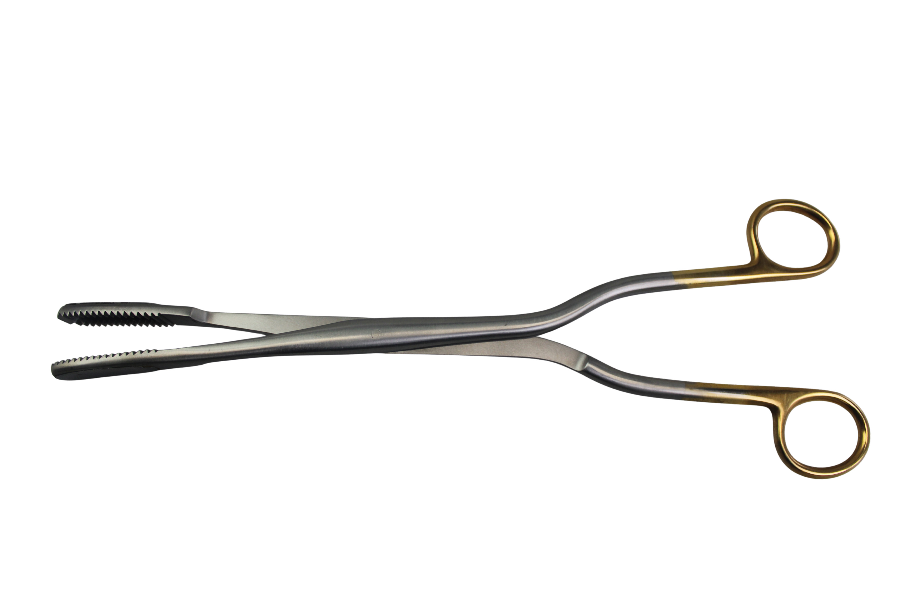 West-Gluck Ovum Forceps 11"