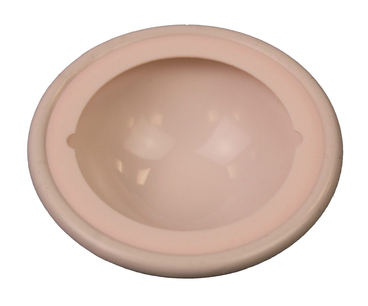 Diaphragm - Image 3